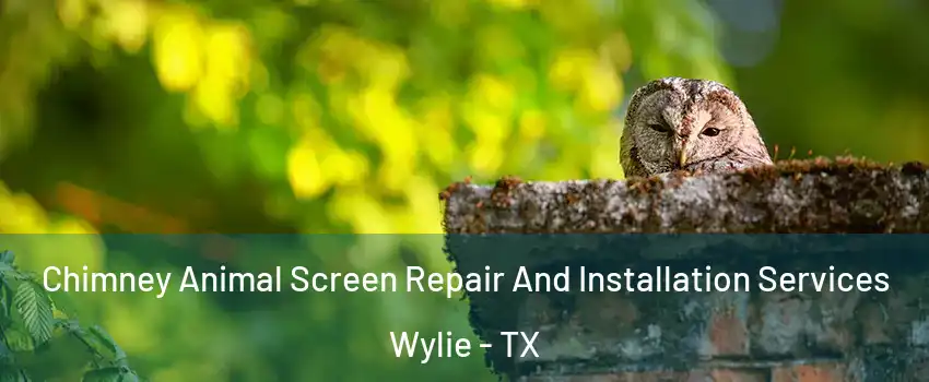  Chimney Animal Screen Repair And Installation Services Wylie - TX