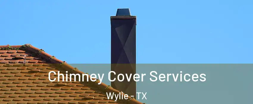  Chimney Cover Services Wylie - TX