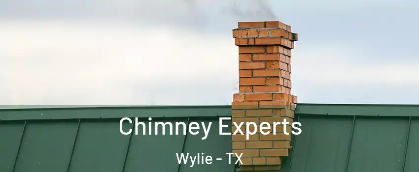 Chimney Experts Wylie - TX