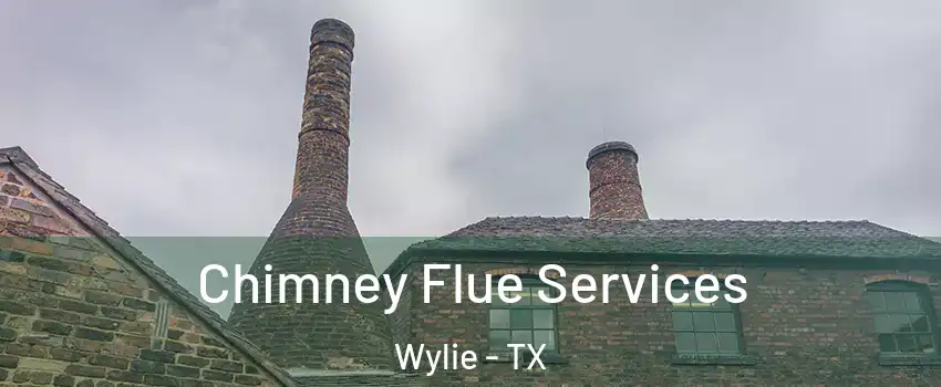  Chimney Flue Services Wylie - TX