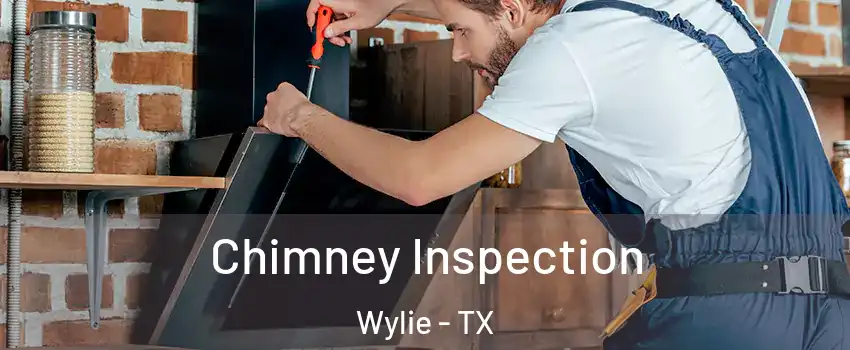 Chimney Inspection Wylie - TX