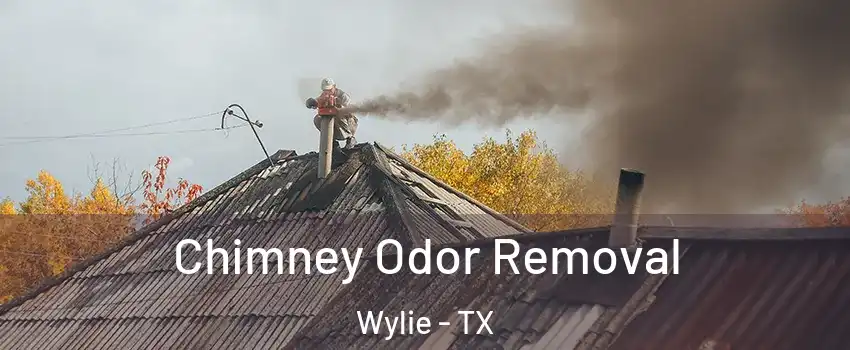  Chimney Odor Removal Wylie - TX