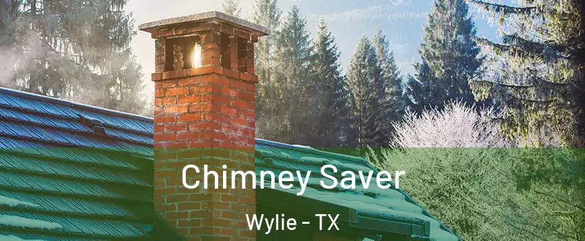  Chimney Saver Wylie - TX
