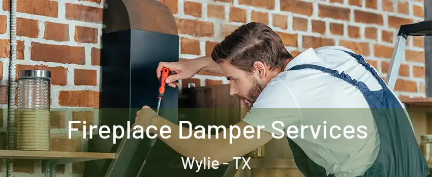  Fireplace Damper Services Wylie - TX