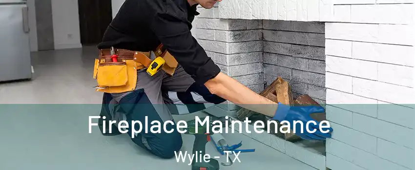 Fireplace Maintenance Wylie - TX