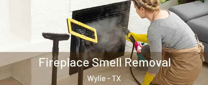  Fireplace Smell Removal Wylie - TX