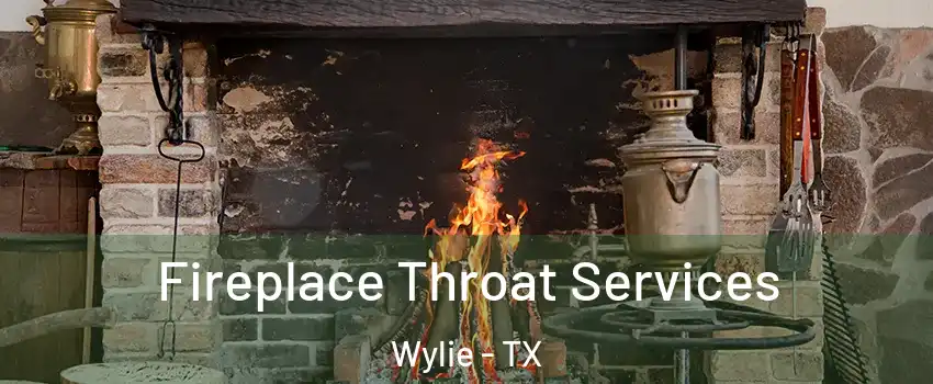  Fireplace Throat Services Wylie - TX