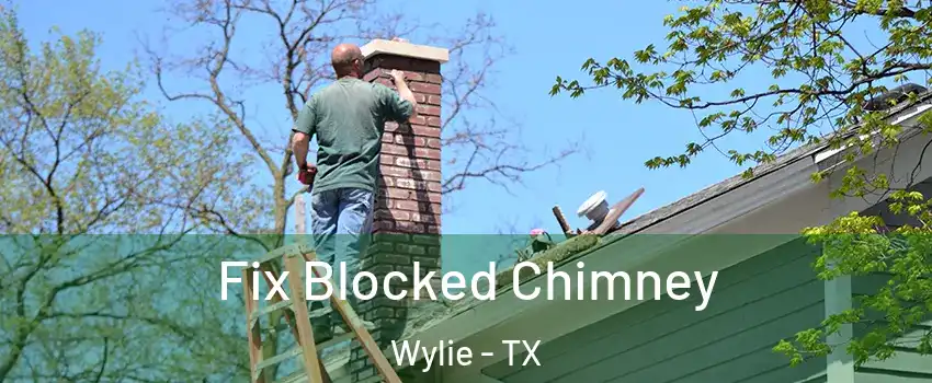  Fix Blocked Chimney Wylie - TX