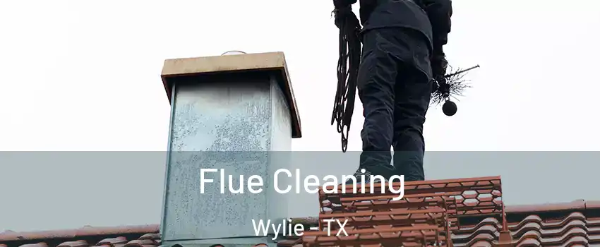 Flue Cleaning Wylie - TX