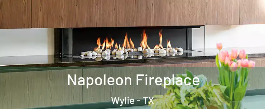  Napoleon Fireplace Wylie - TX