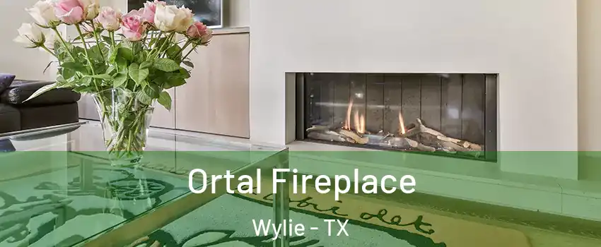  Ortal Fireplace Wylie - TX